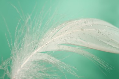 Photo of Fluffy white feather with water drops on light turquoise background, closeup