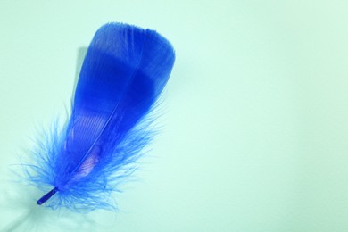 Photo of One fluffy blue feather on light background, top view. Space for text