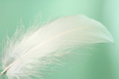 Photo of Fluffy white feather on light turquoise background, closeup