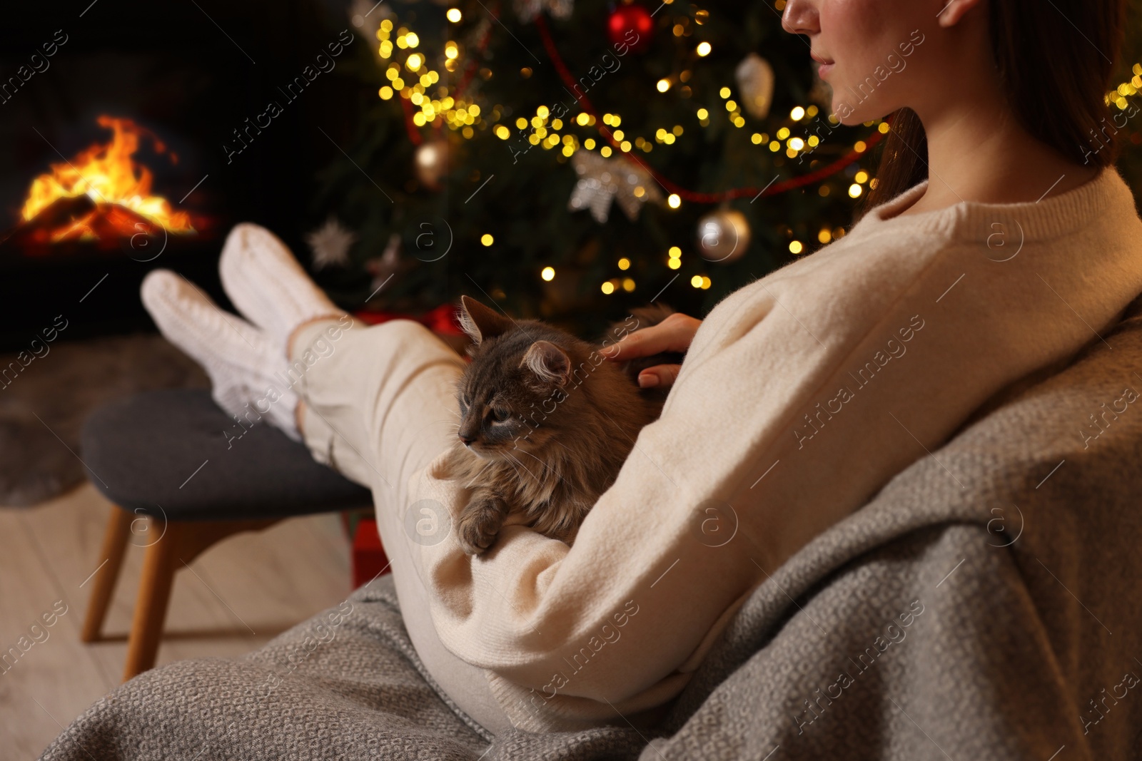 Photo of Woman with cute cat in room decorated for Christmas, closeup