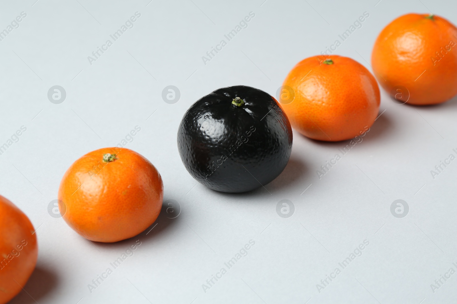 Photo of Stop racism. One black tangerine among orange ones on light background