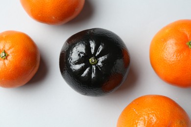 Photo of Stop racism. One black tangerine among orange ones on light background, flat lay