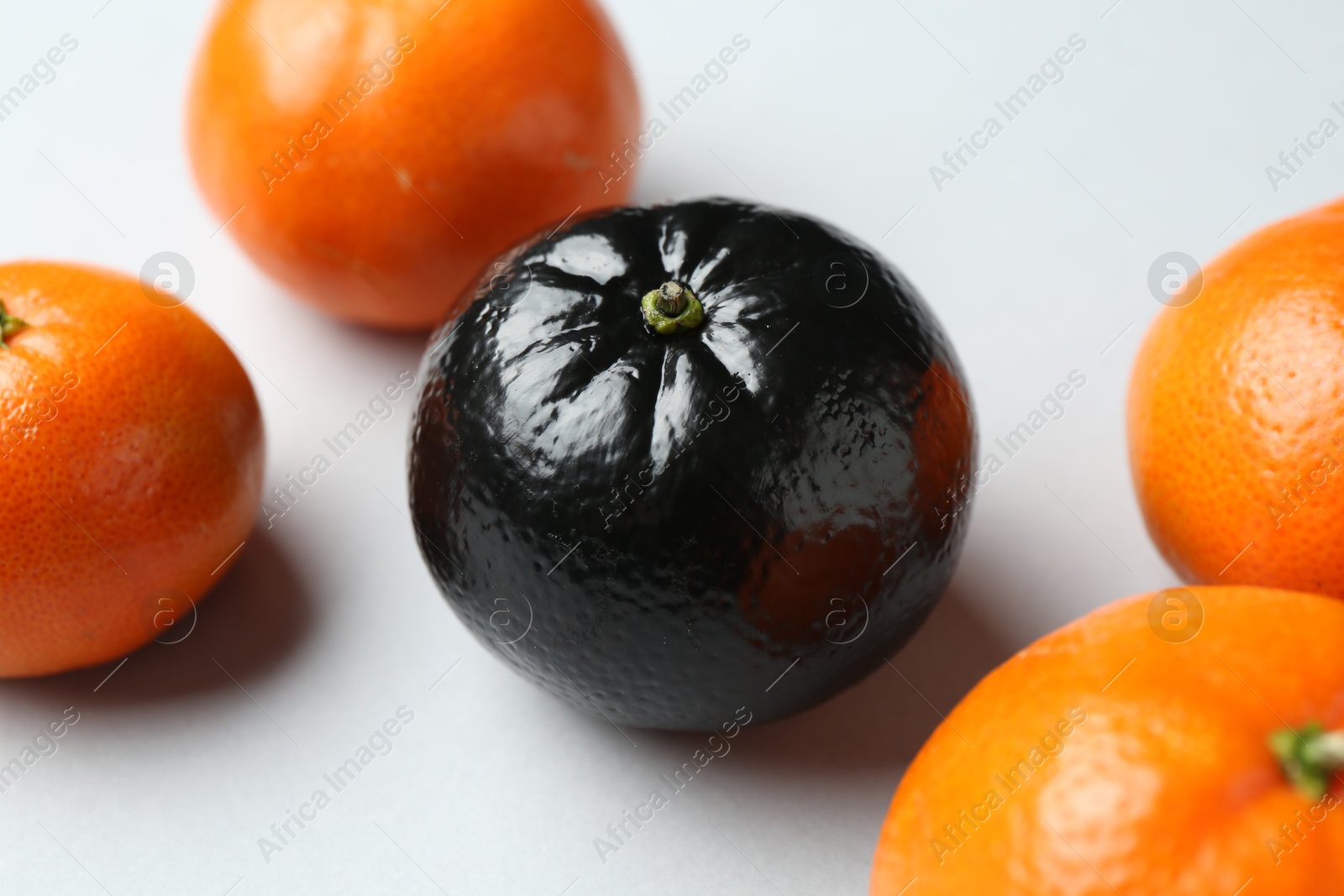 Photo of Stop racism. One black tangerine among orange ones on light background, closeup