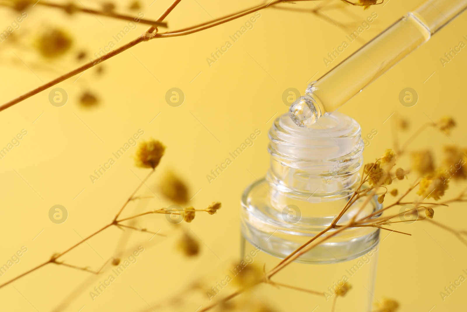 Photo of Dripping serum from pipette into bottle and gypsophila flowers on yellow background, closeup