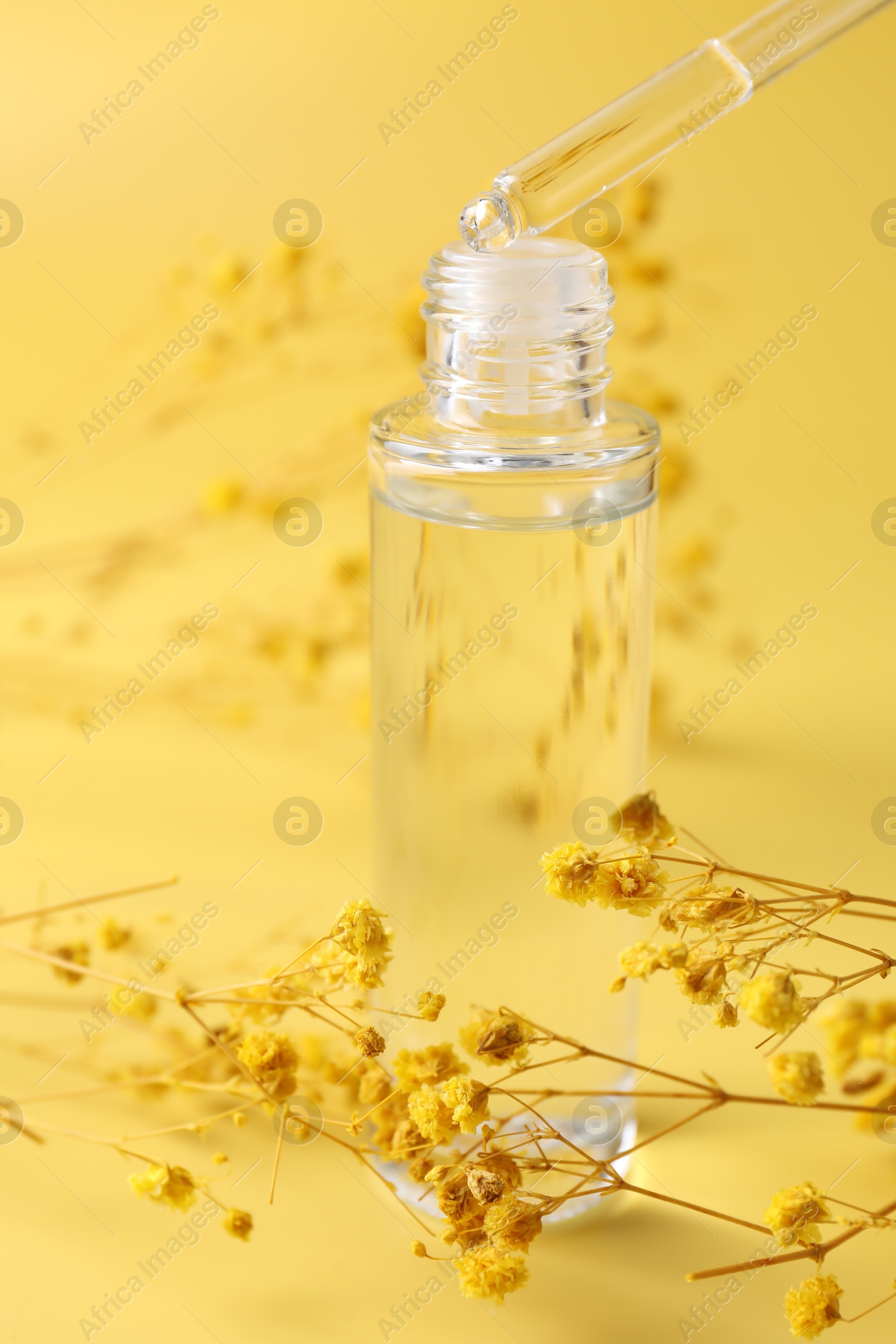 Photo of Dripping serum from pipette into bottle and gypsophila flowers on yellow background, closeup