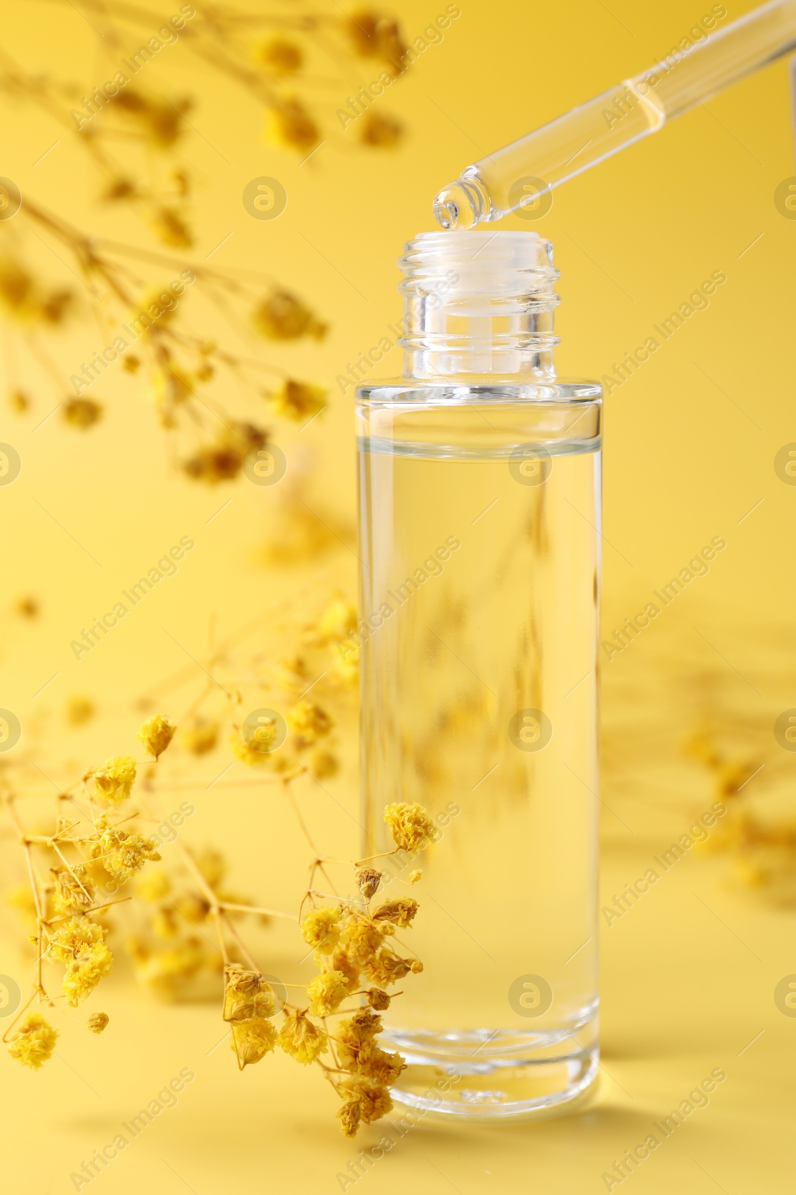 Photo of Dripping serum from pipette into bottle and gypsophila flowers on yellow background, closeup