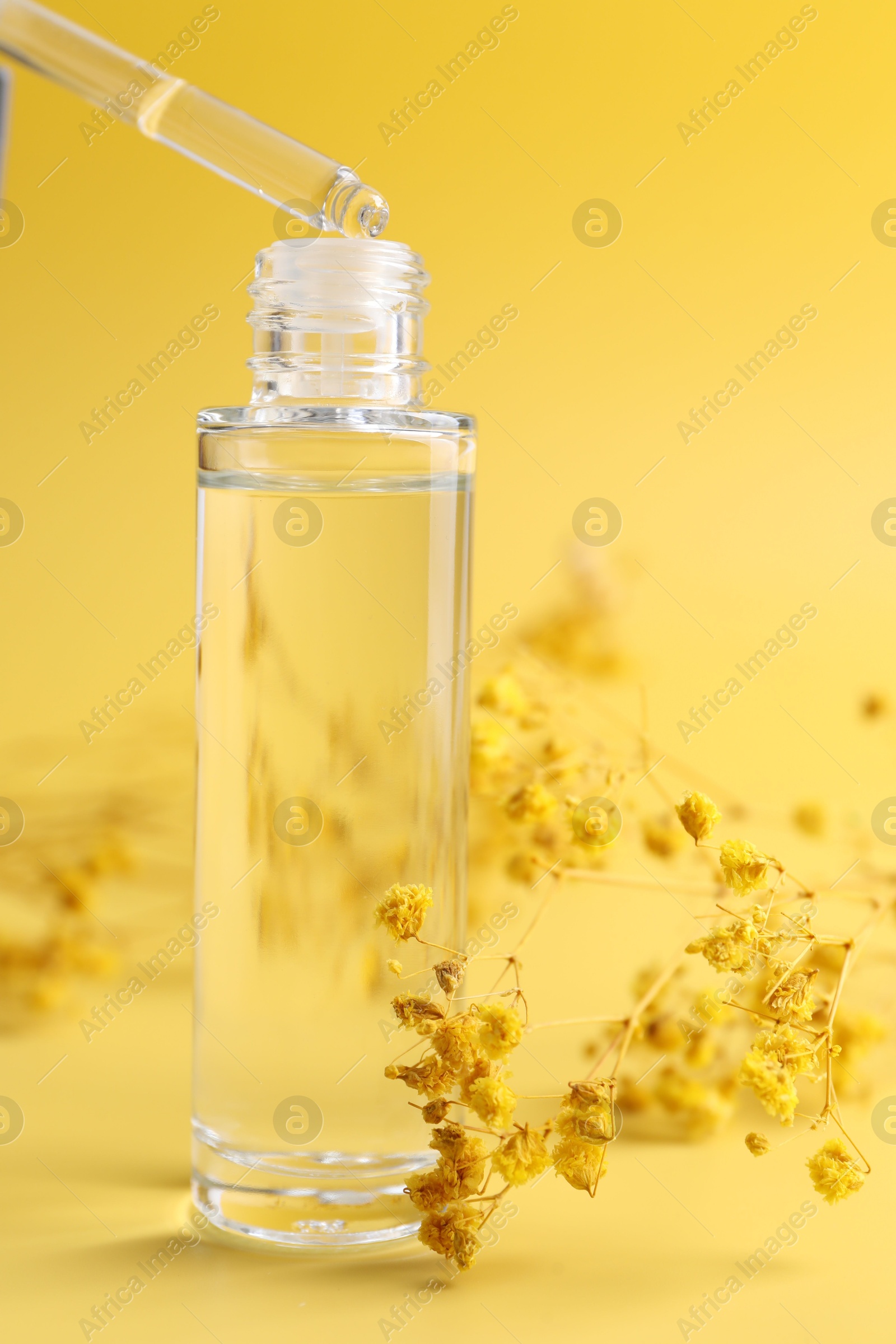 Photo of Dripping serum from pipette into bottle and gypsophila flowers on yellow background, closeup