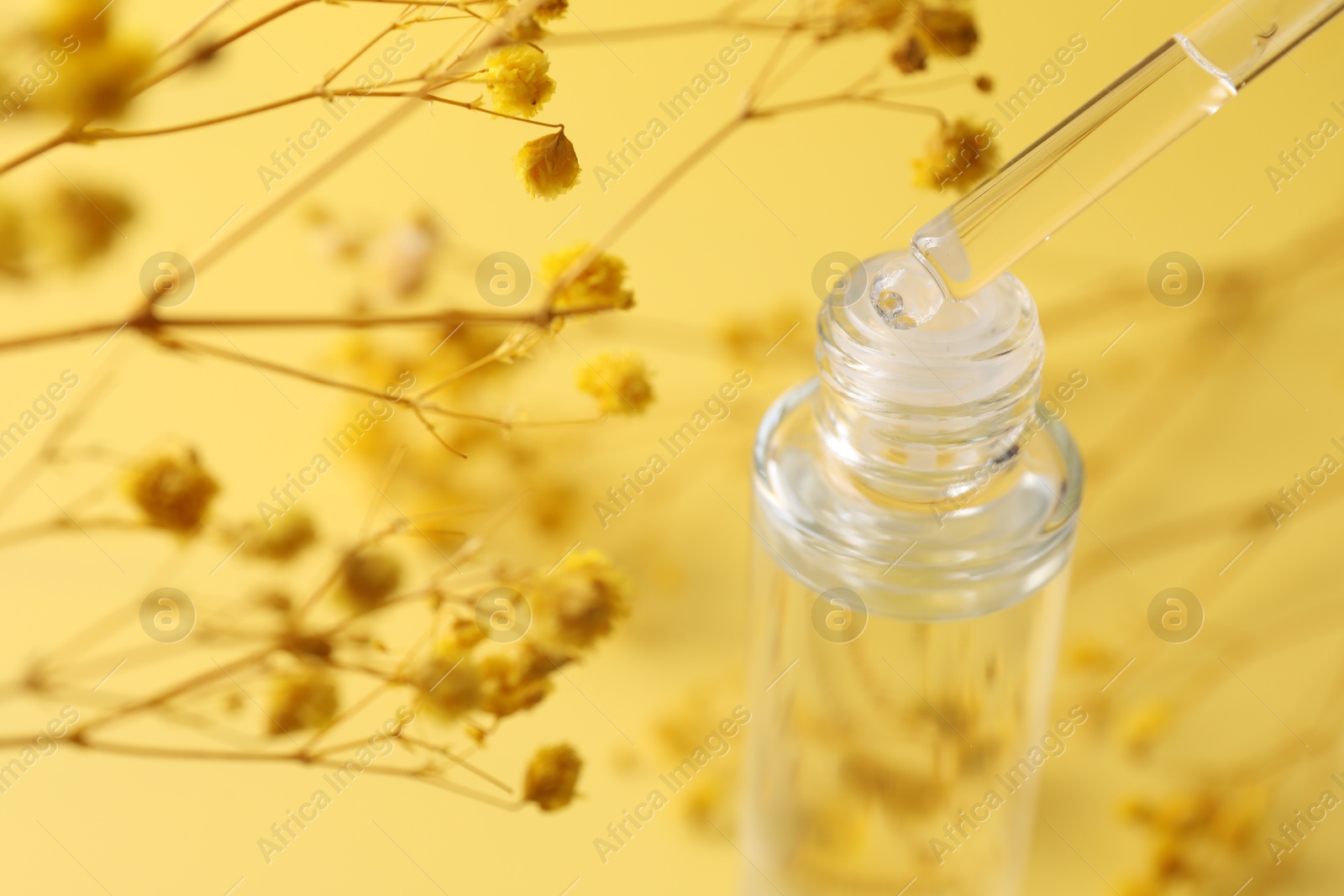 Photo of Dripping serum from pipette into bottle and gypsophila flowers on yellow background, closeup