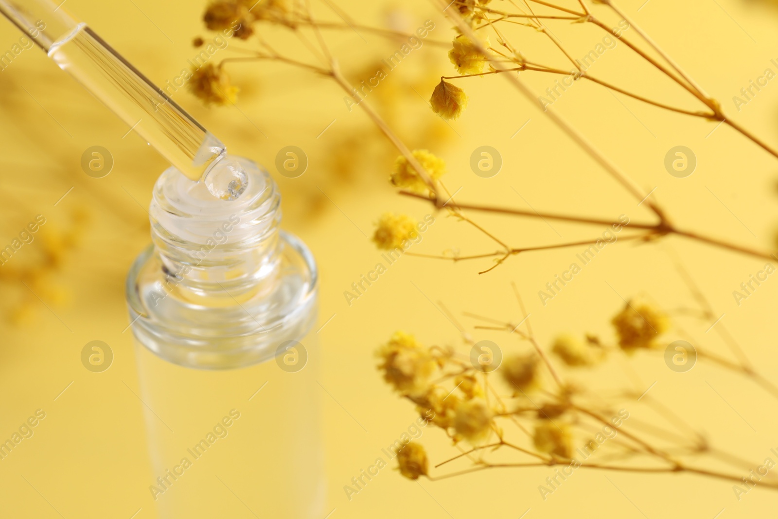 Photo of Dripping serum from pipette into bottle and gypsophila flowers on yellow background, closeup