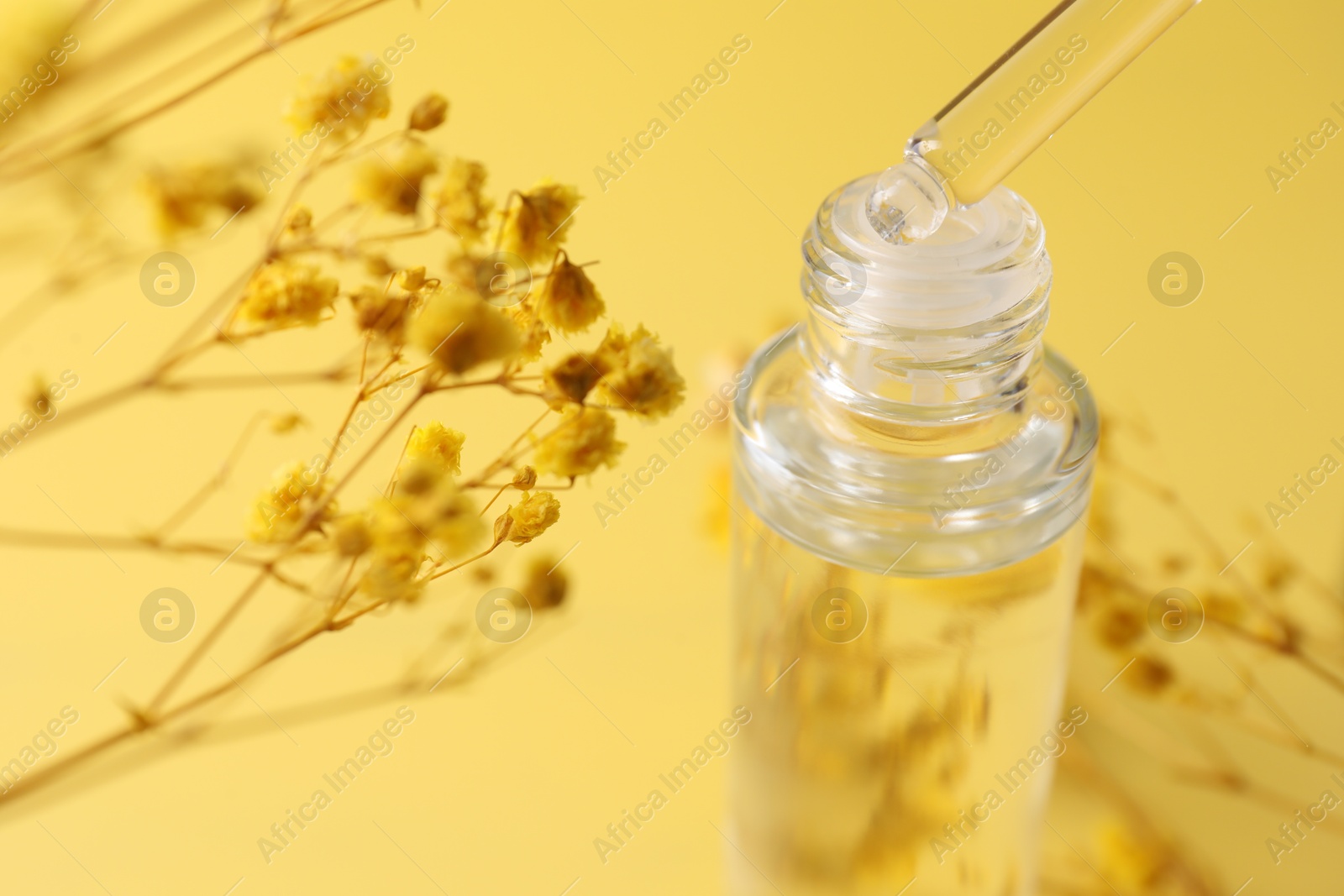 Photo of Dripping serum from pipette into bottle and gypsophila flowers on yellow background, closeup