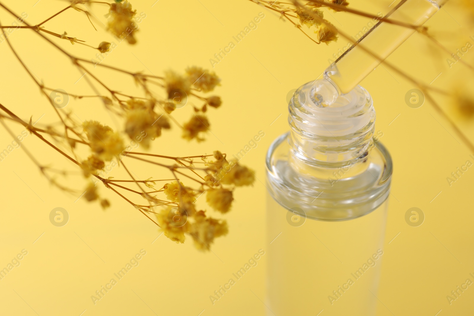 Photo of Dripping serum from pipette into bottle and gypsophila flowers on yellow background, closeup