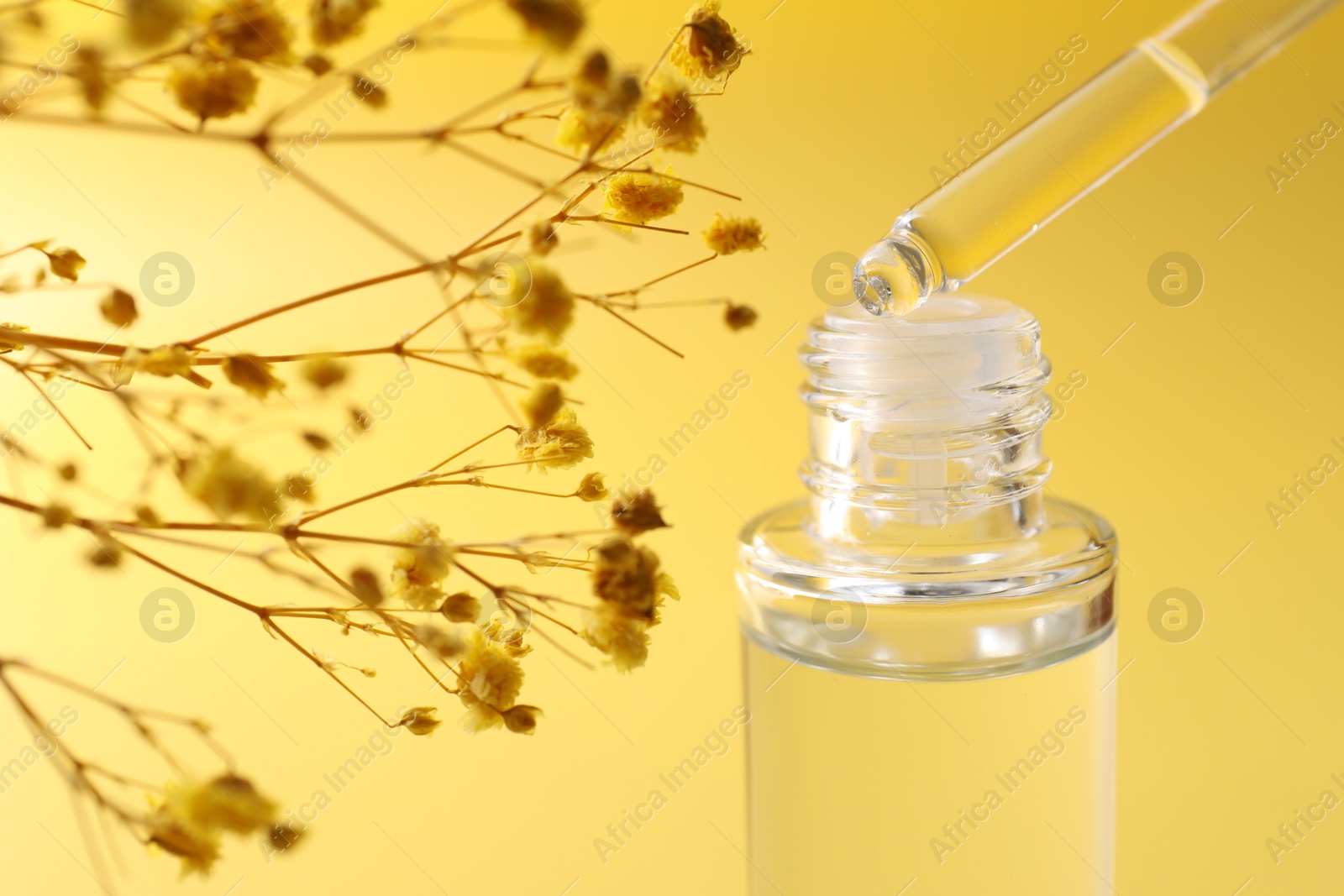 Photo of Dripping serum from pipette into bottle and gypsophila flowers on yellow background, closeup