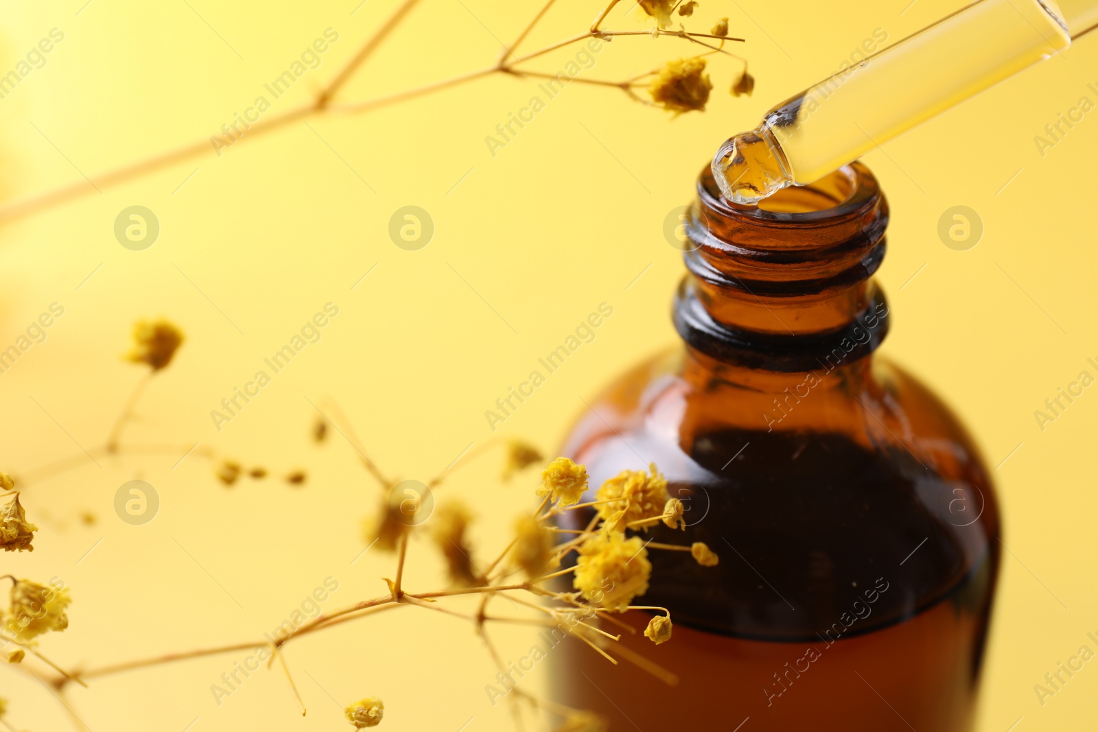 Photo of Dripping serum from pipette into bottle and gypsophila flowers on yellow background, closeup