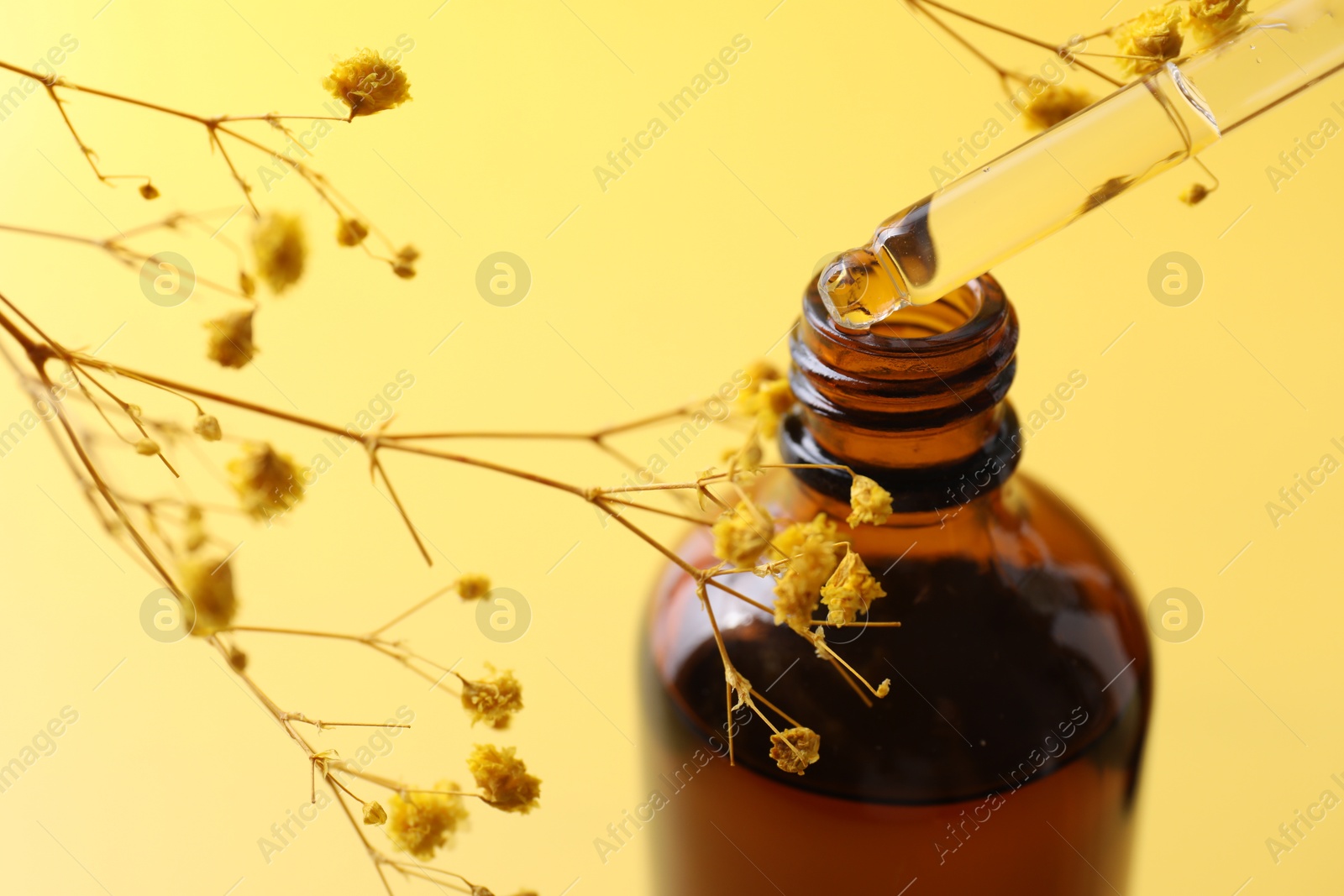 Photo of Dripping serum from pipette into bottle and gypsophila flowers on yellow background, closeup