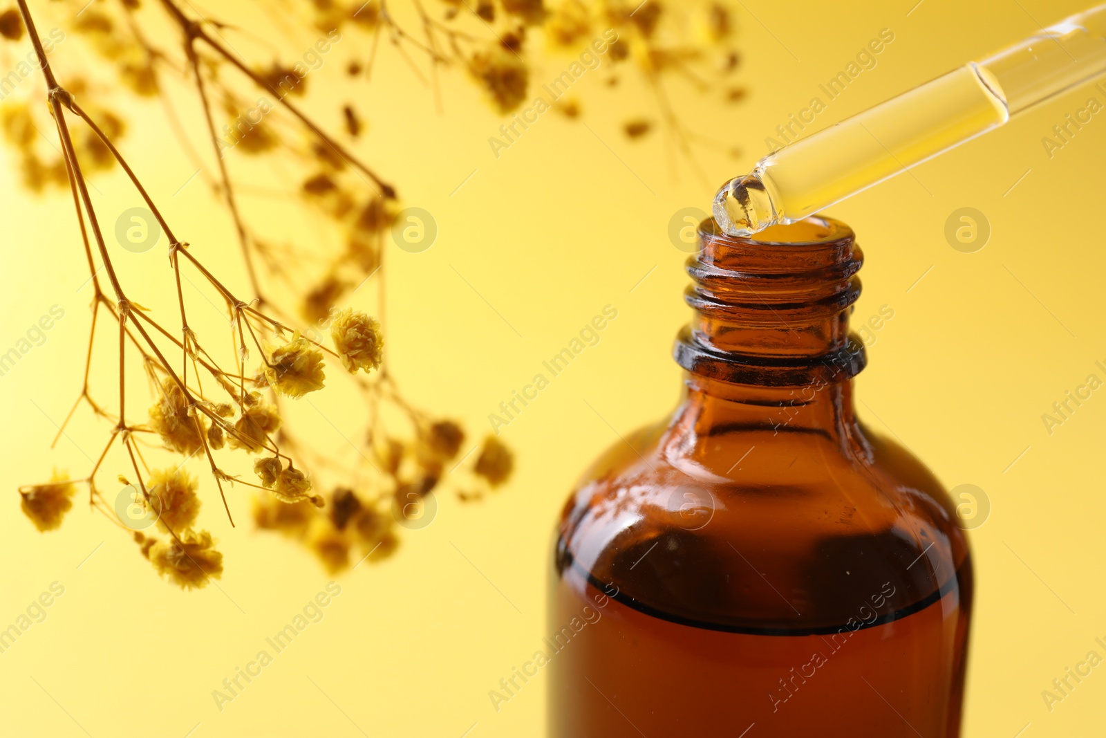 Photo of Dripping serum from pipette into bottle and gypsophila flowers on yellow background, closeup