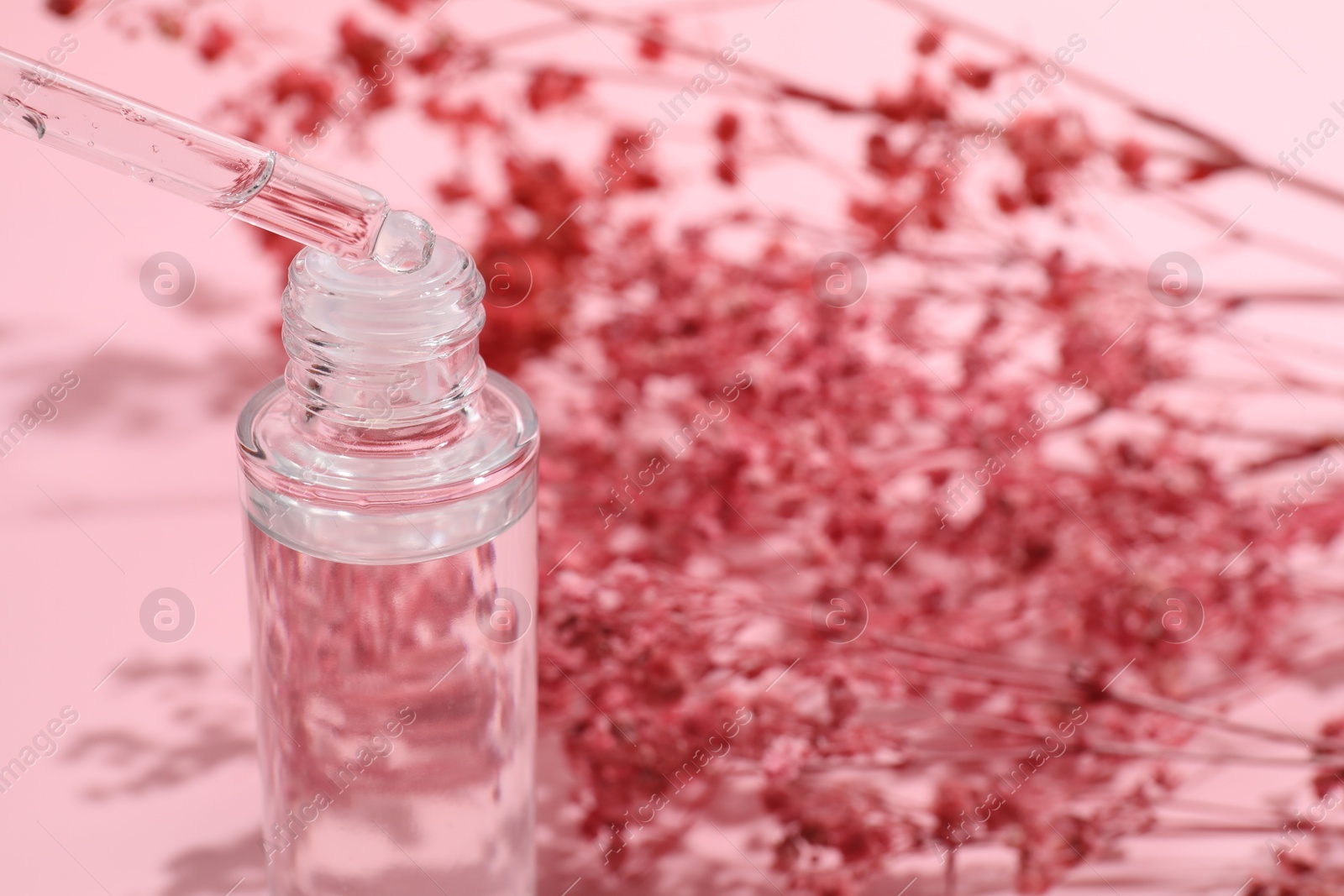 Photo of Dripping serum from pipette into bottle on blurred pink background, closeup. Space for text