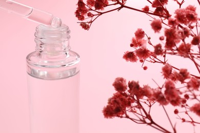 Dripping serum from pipette into bottle and gypsophila flowers on pink background, closeup