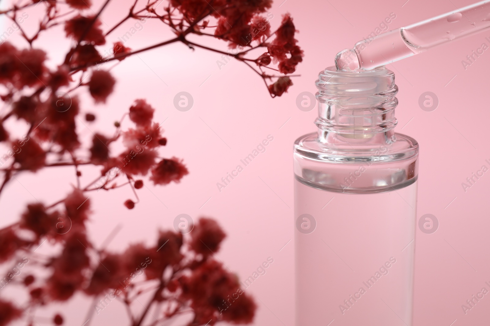 Photo of Dripping serum from pipette into bottle and gypsophila flowers on pink background, closeup