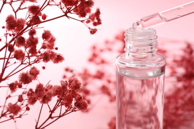 Dripping serum from pipette into bottle and gypsophila flowers on pink background, closeup