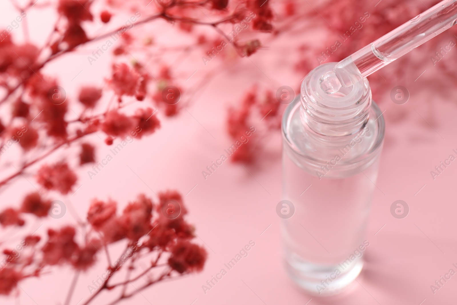 Photo of Dripping serum from pipette into bottle and gypsophila flowers on pink background, closeup