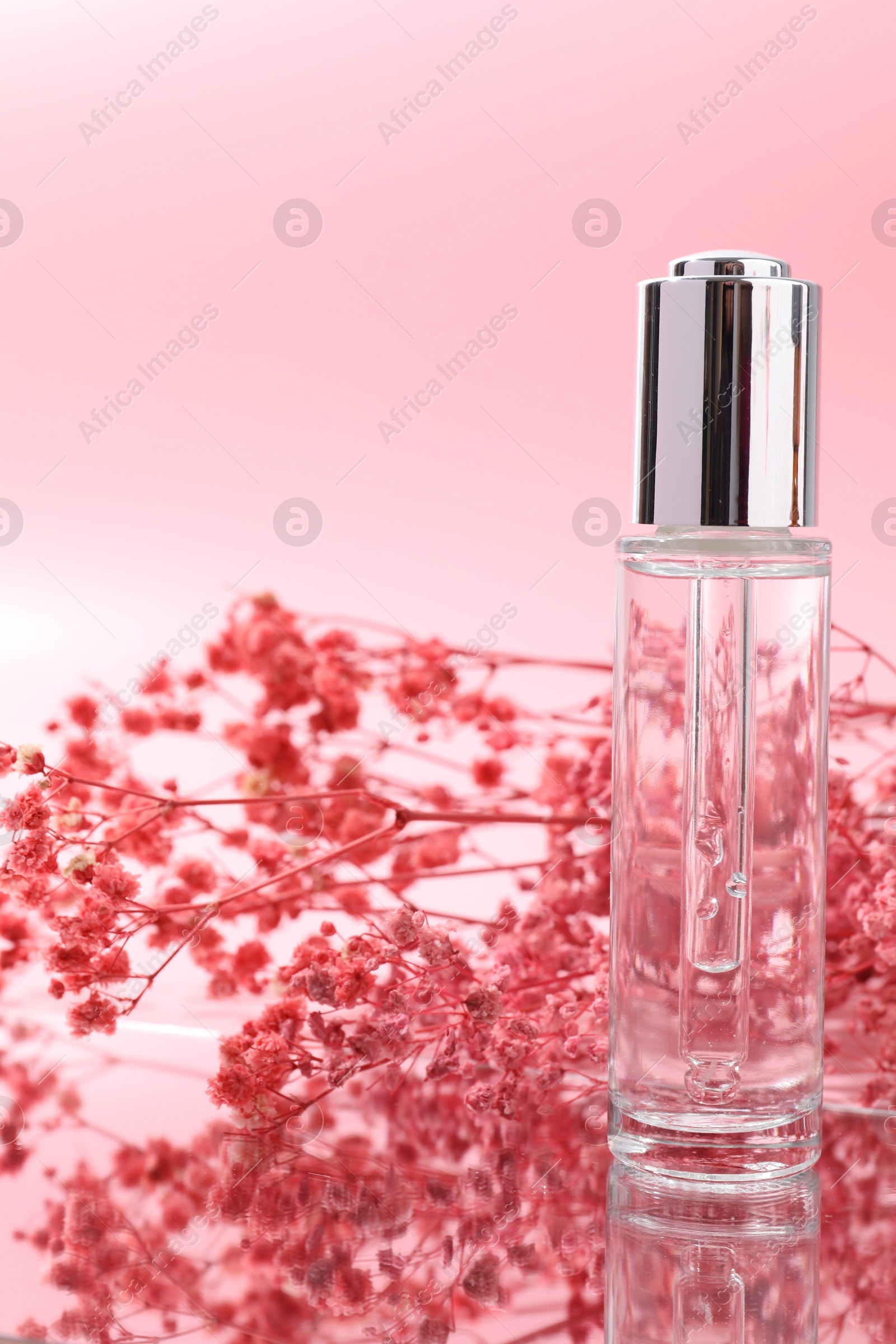 Photo of Bottle of serum and gypsophila flowers on mirror surface against pink background