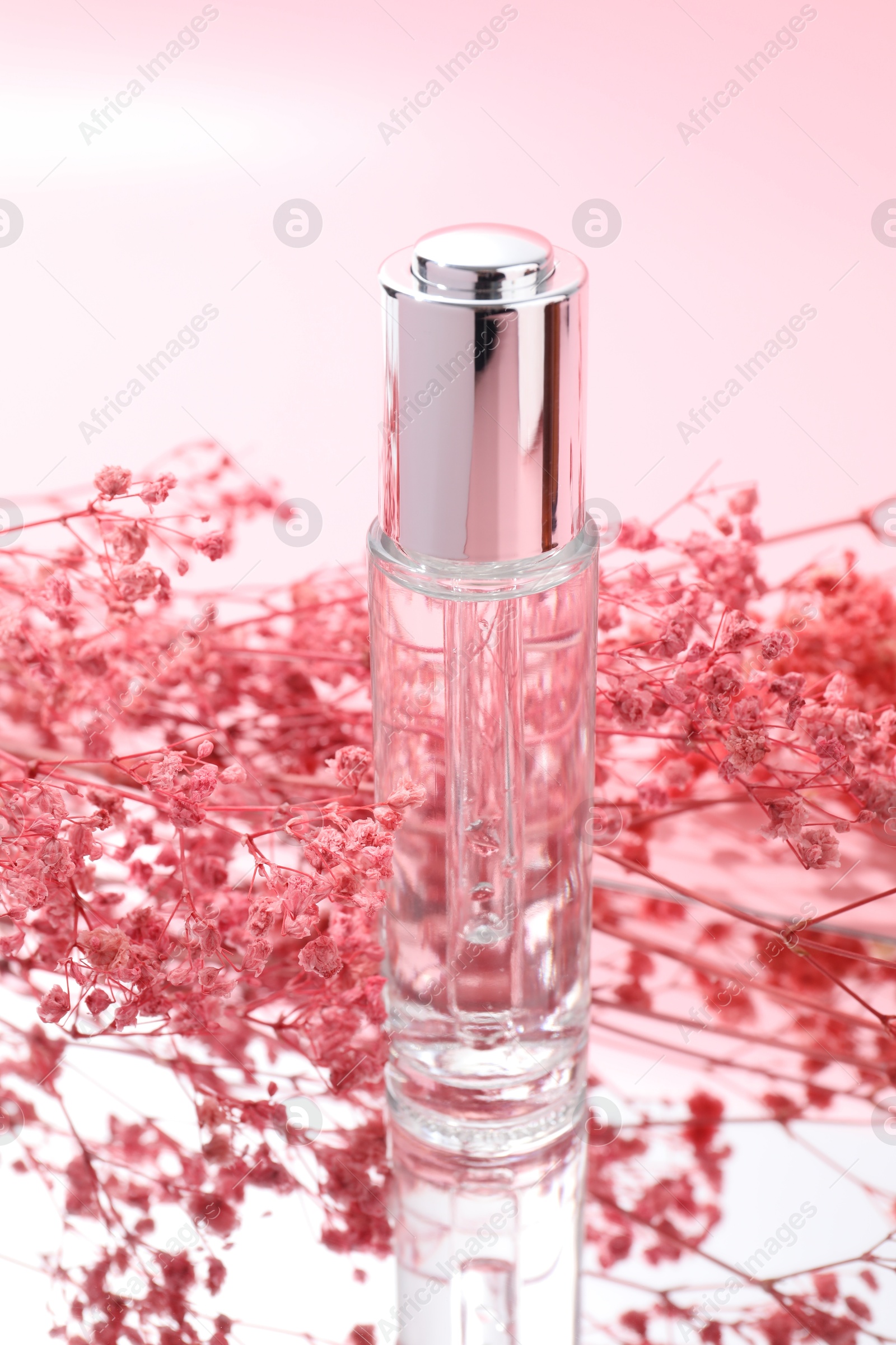 Photo of Bottle of serum and gypsophila flowers on mirror surface against pink background