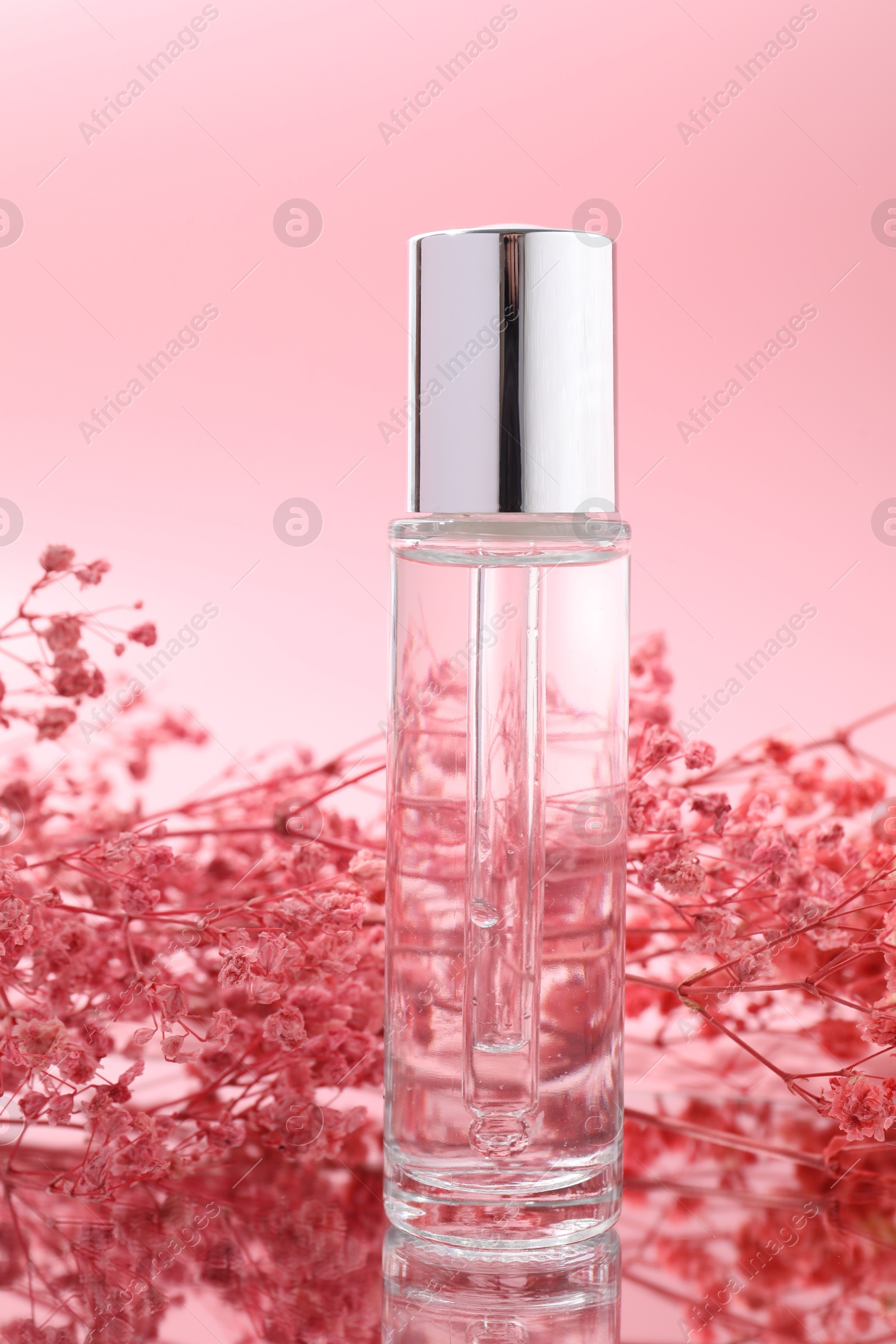 Photo of Bottle of serum and gypsophila flowers on mirror surface against pink background