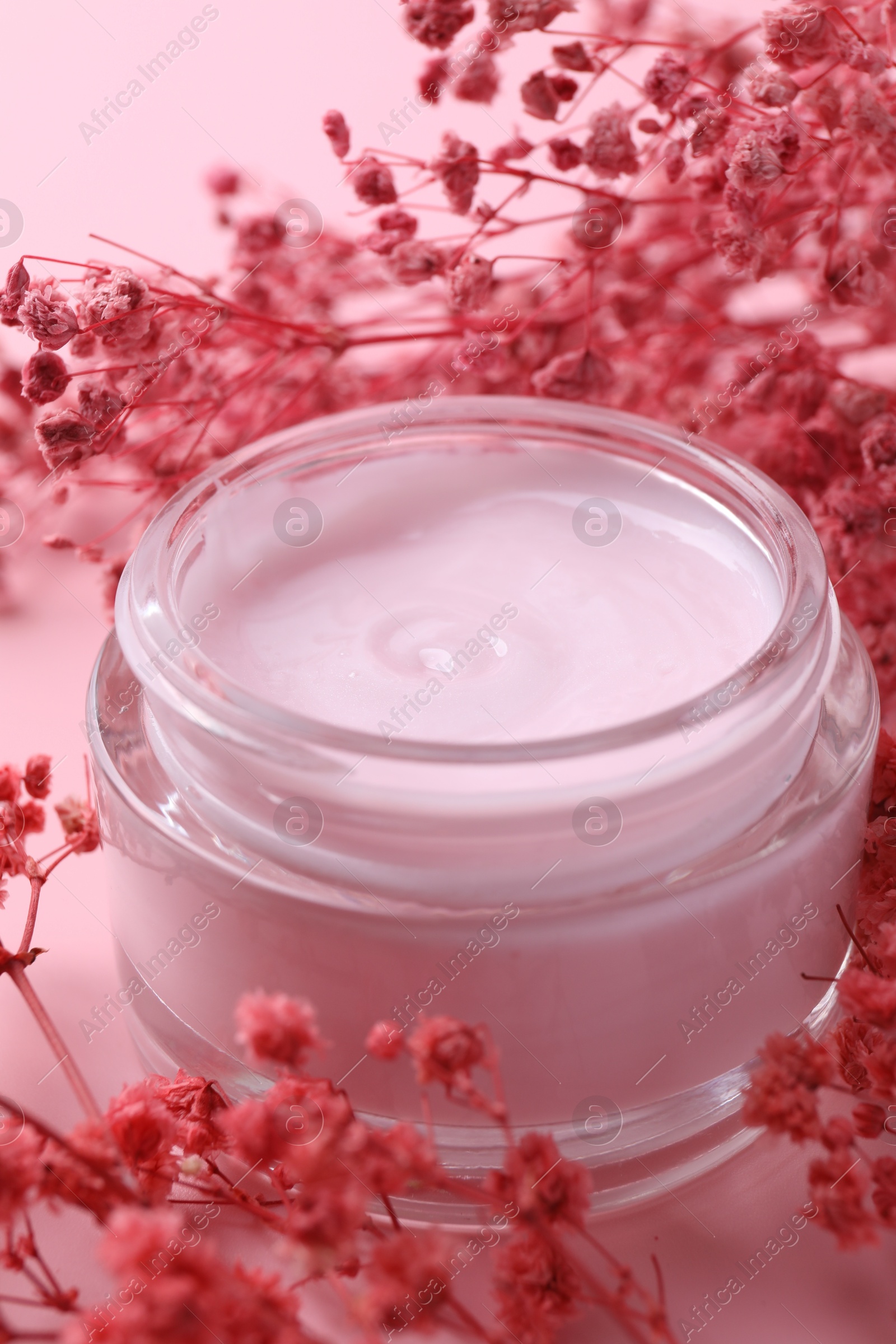 Photo of Jar of moisturizing cream and gypsophila flowers on pink background, closeup