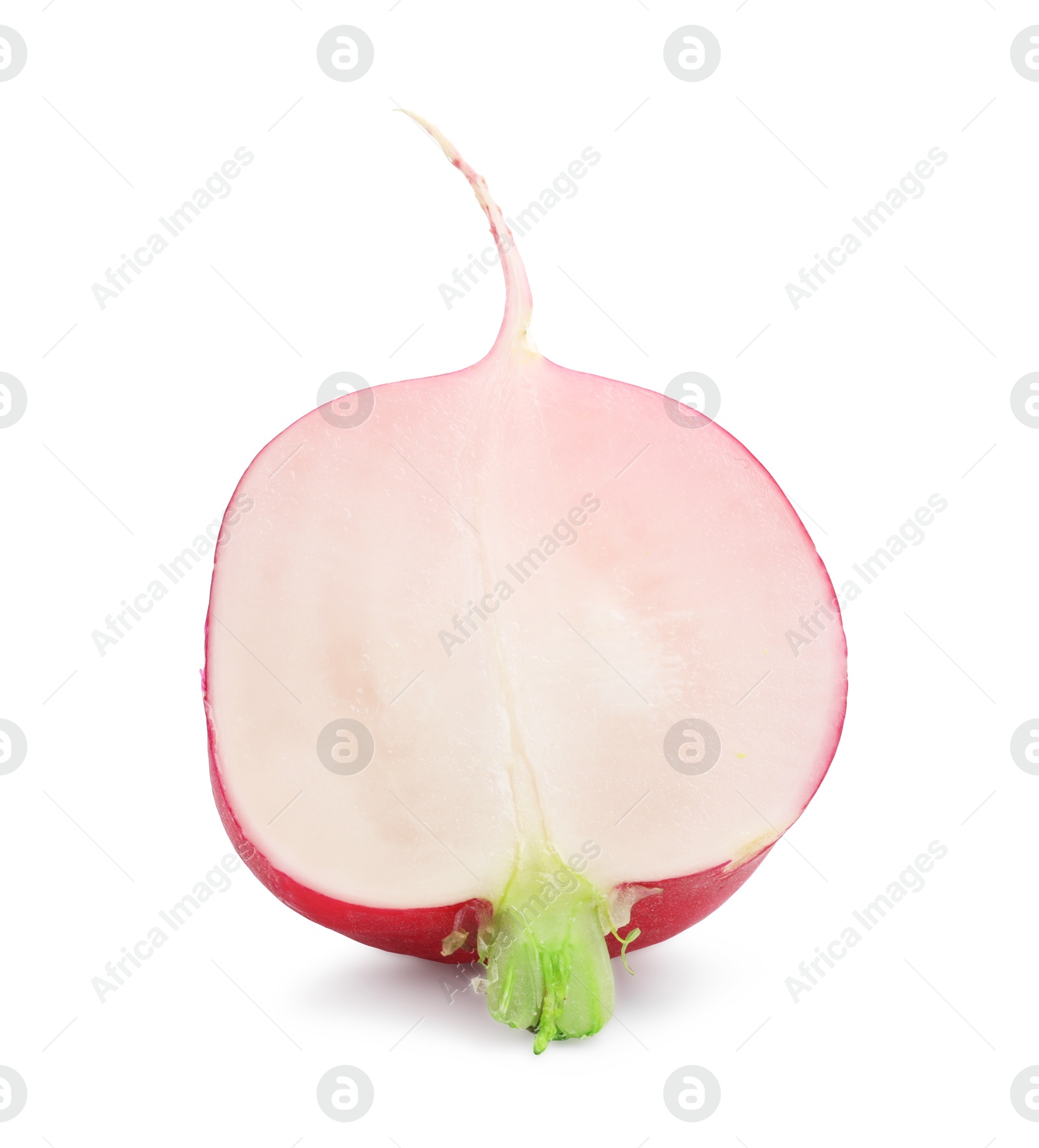 Photo of Piece of fresh ripe radish isolated on white