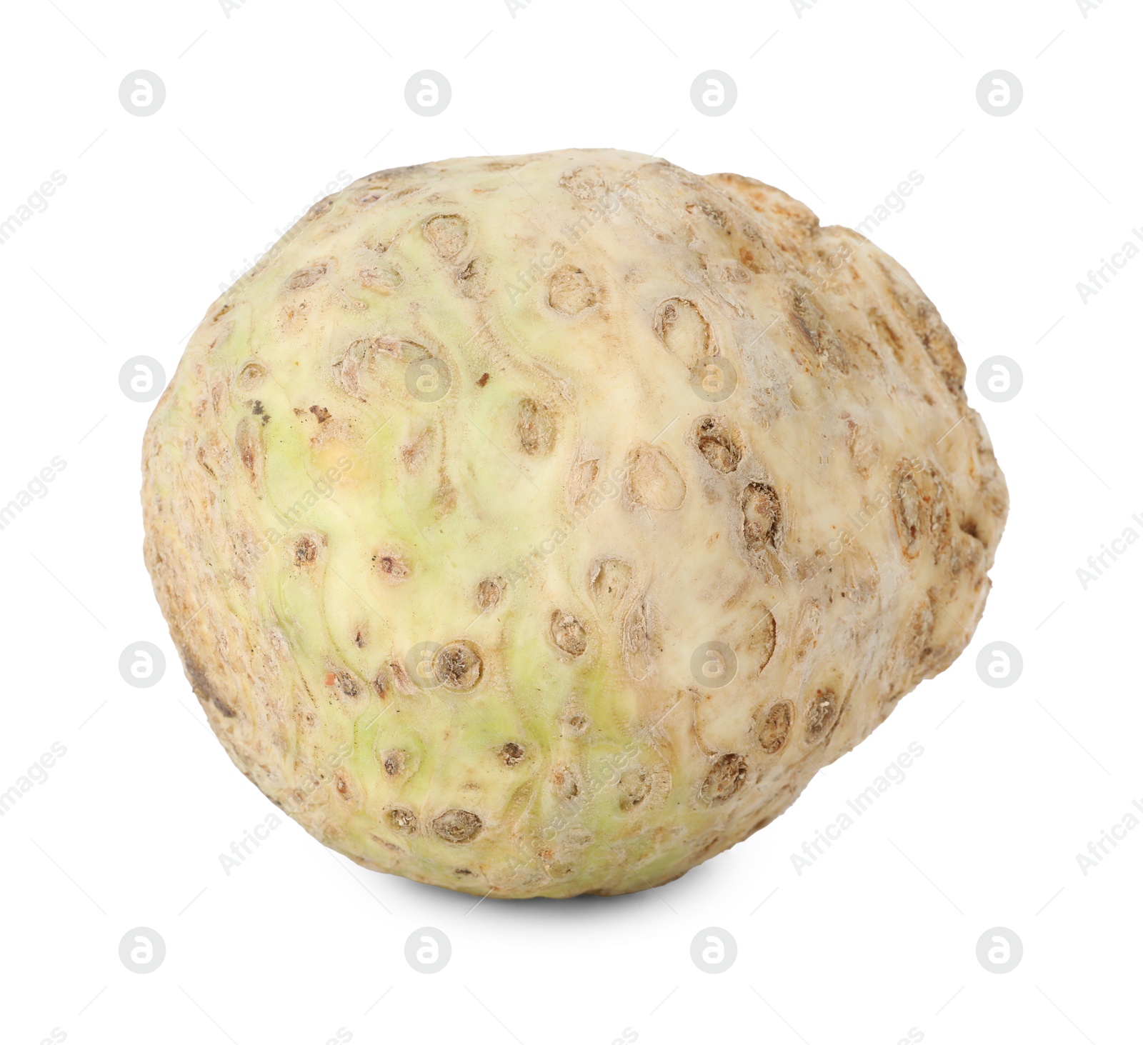 Photo of One fresh celery root isolated on white