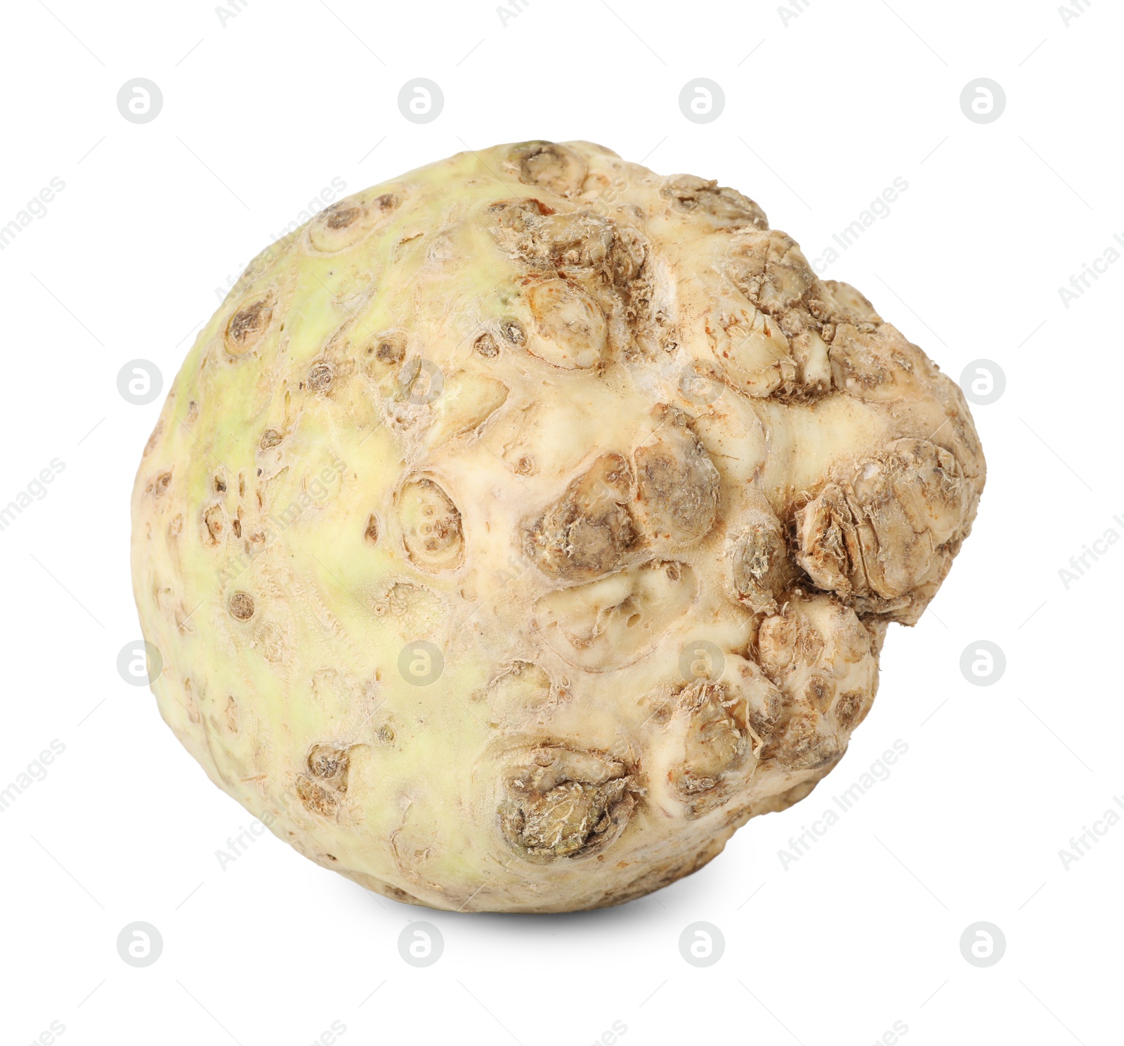 Photo of One fresh celery root isolated on white