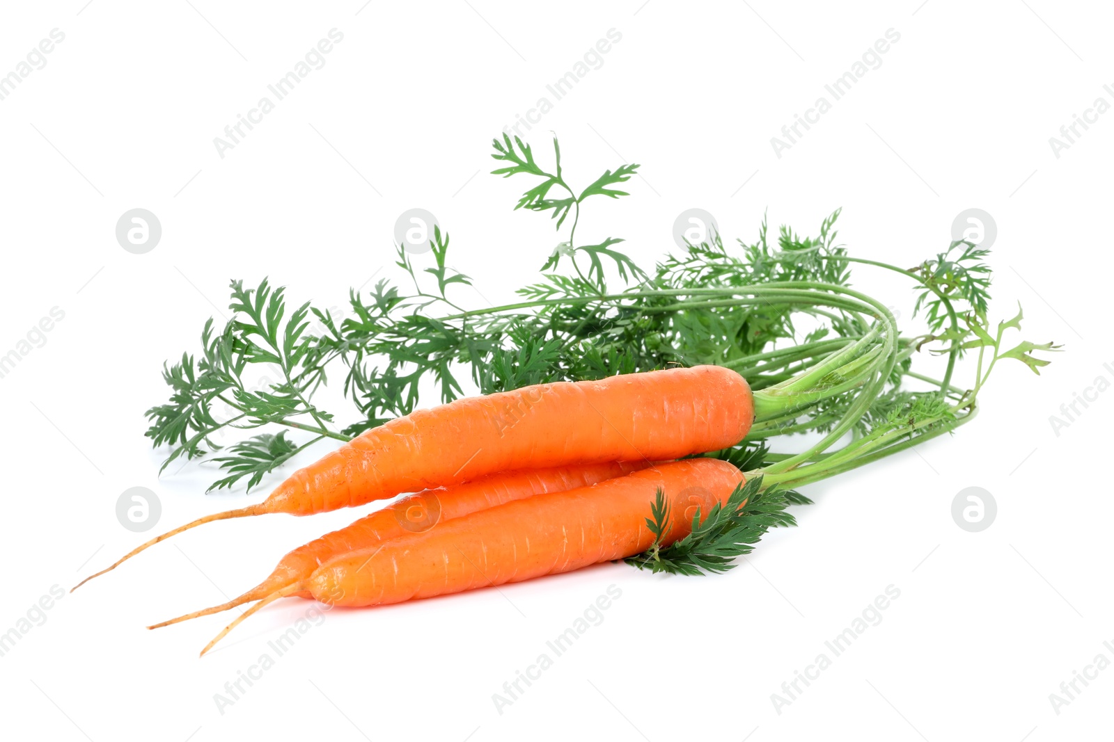 Photo of Fresh carrots isolated on white. Root vegetable