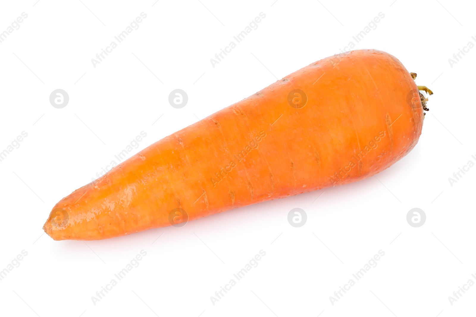 Photo of One fresh carrot isolated on white. Root vegetable