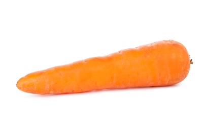 Photo of One fresh carrot isolated on white. Root vegetable