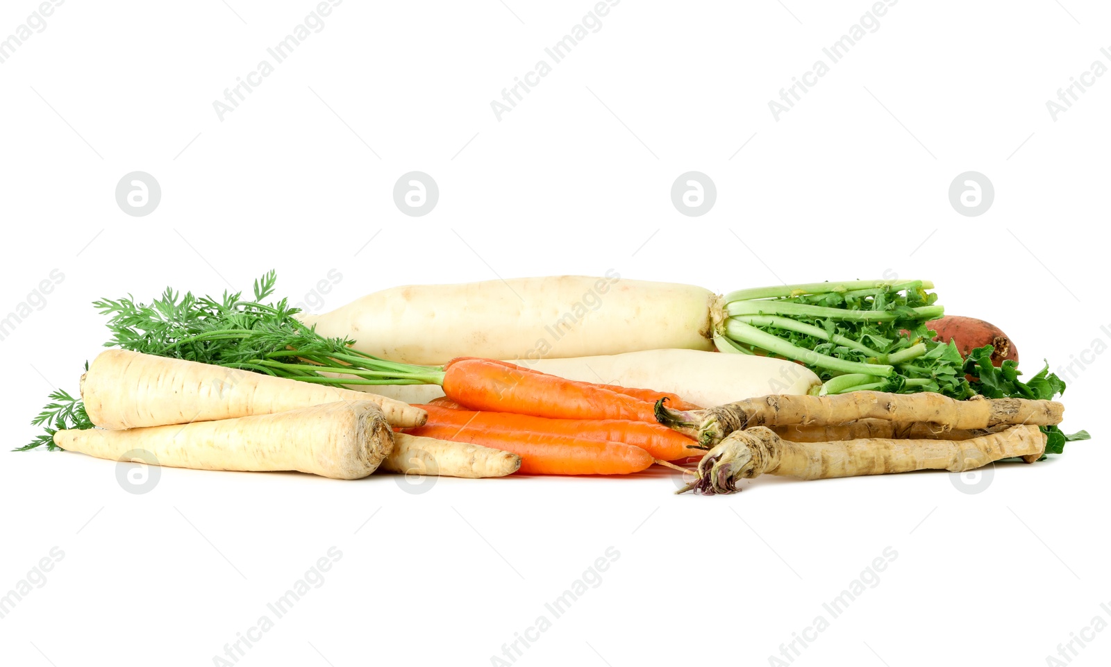 Photo of Many different root vegetables isolated on white