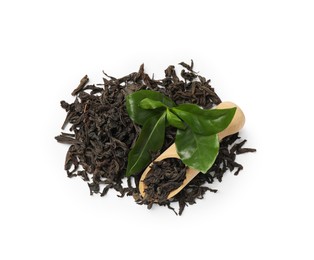 Photo of Dried and fresh tea leaves with scoop isolated on white, top view