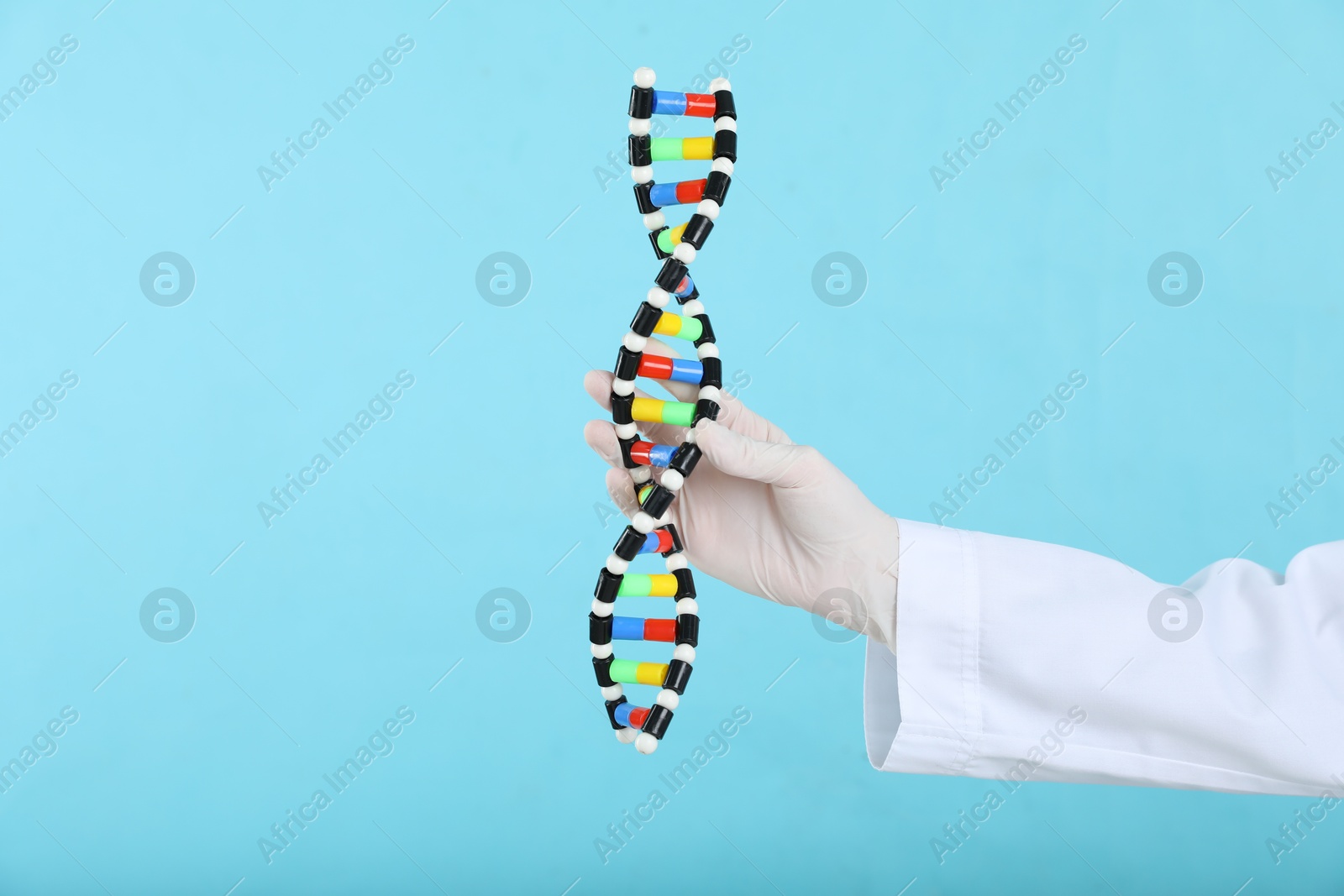 Photo of Scientist holding DNA structure model on light blue background, closeup