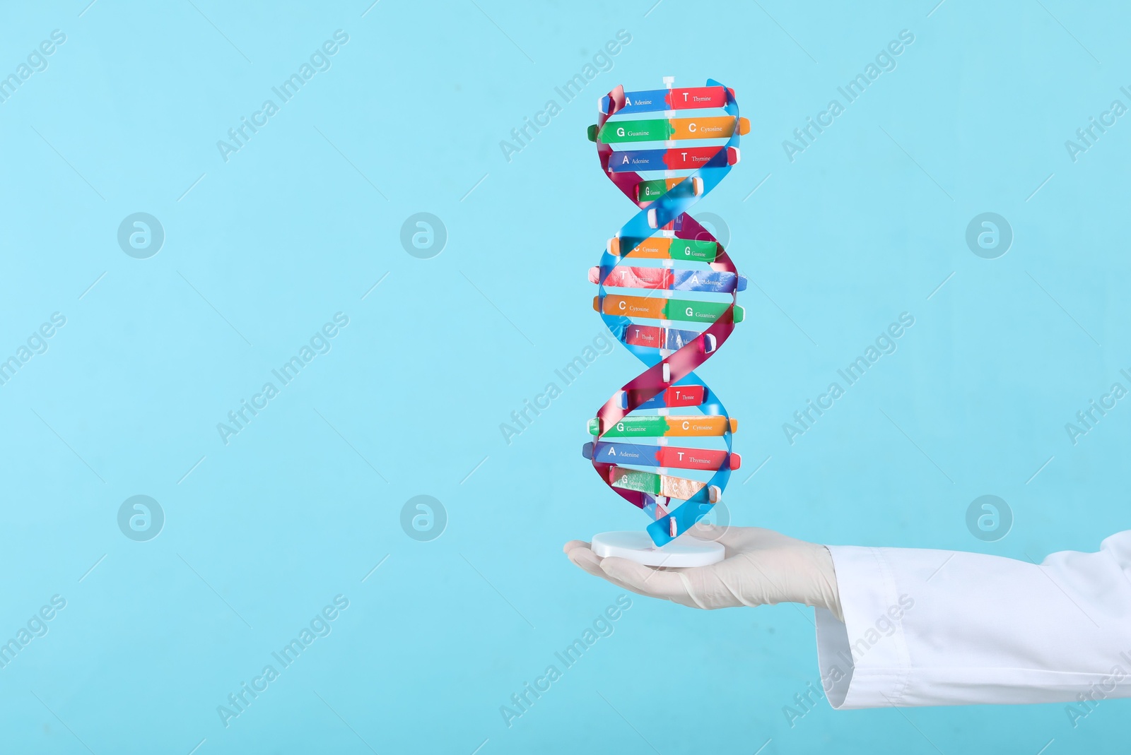 Photo of Scientist holding DNA structure model on light blue background, closeup. Space for text