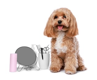 Photo of Cute dog and grooming tools on white background