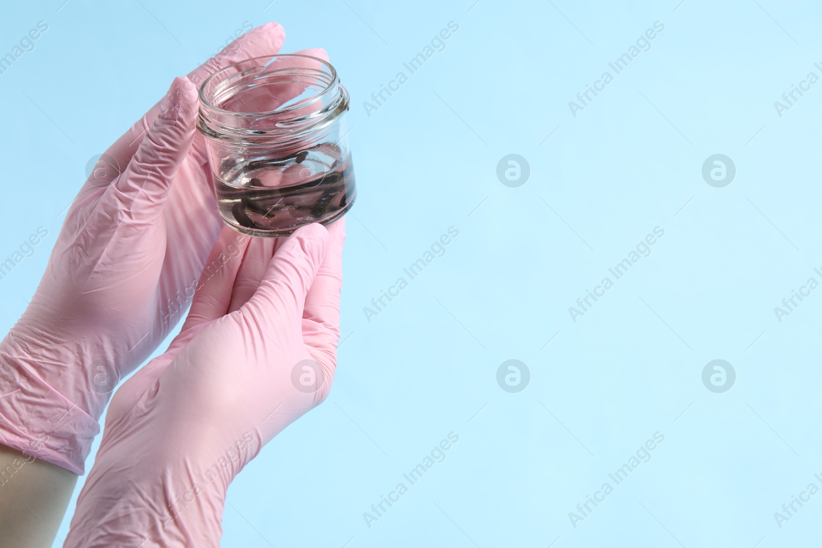 Photo of Woman holding glass jar with medicinal leeches on light blue background, closeup. Space for text