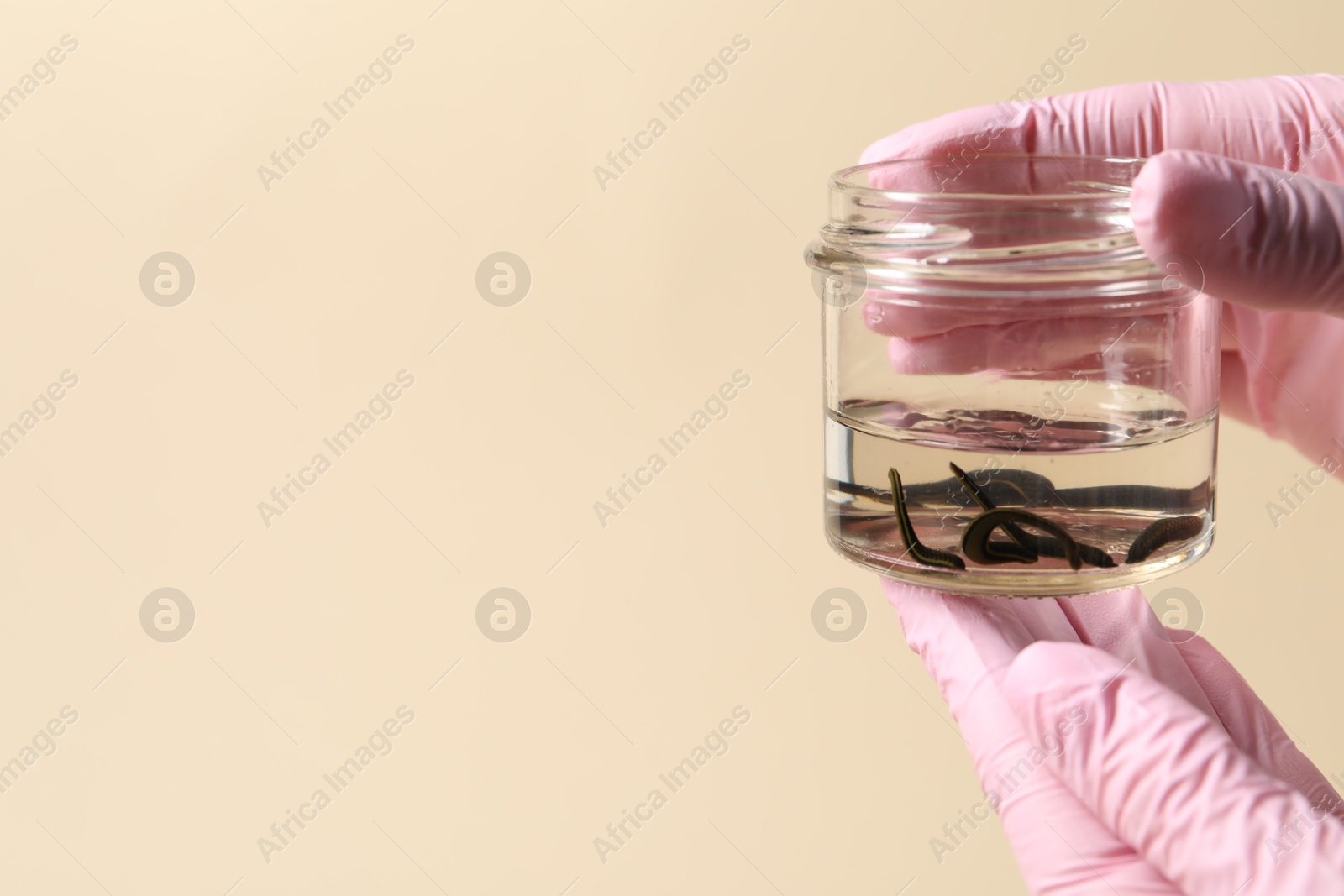 Photo of Woman holding glass jar with medicinal leeches on pale yellow background, closeup. Space for text