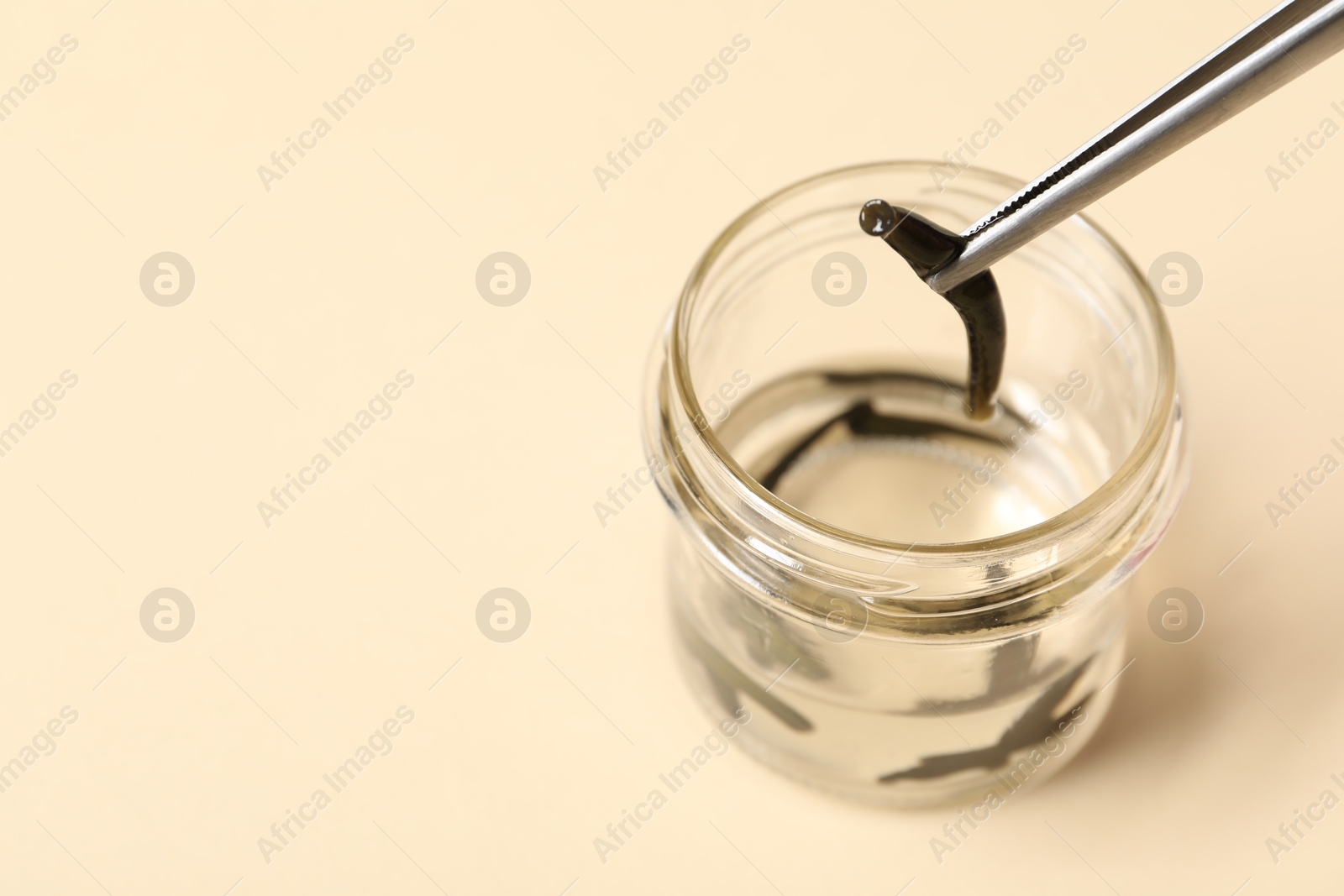 Photo of Taking medicinal leech from jar with tweezers on pale yellow background, closeup. Space for text