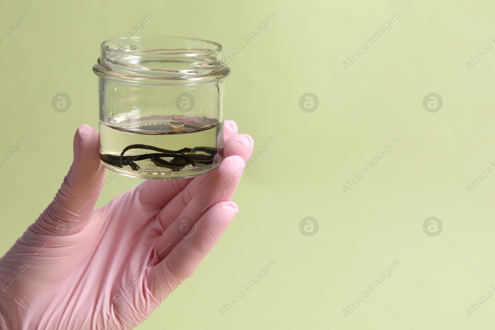 Photo of Woman holding glass jar with medicinal leeches on light green background, closeup. Space for text