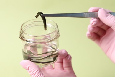 Photo of Woman taking medicinal leech from jar with tweezers on light green background, closeup