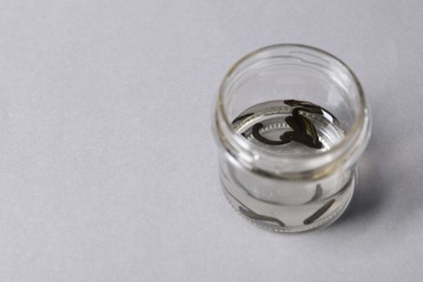 Photo of Medicinal leeches in glass jar on gray background, space for text