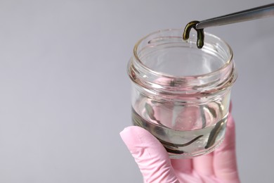 Photo of Woman taking medicinal leech from jar with tweezers on gray background, closeup. Space for text