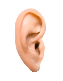 Photo of Woman on white background, closeup of ear