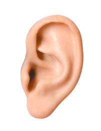 Photo of Woman on white background, closeup of ear