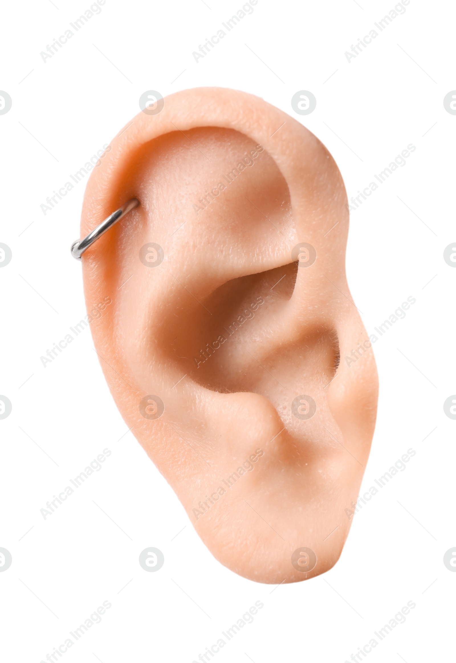 Photo of Woman on white background, closeup of ear