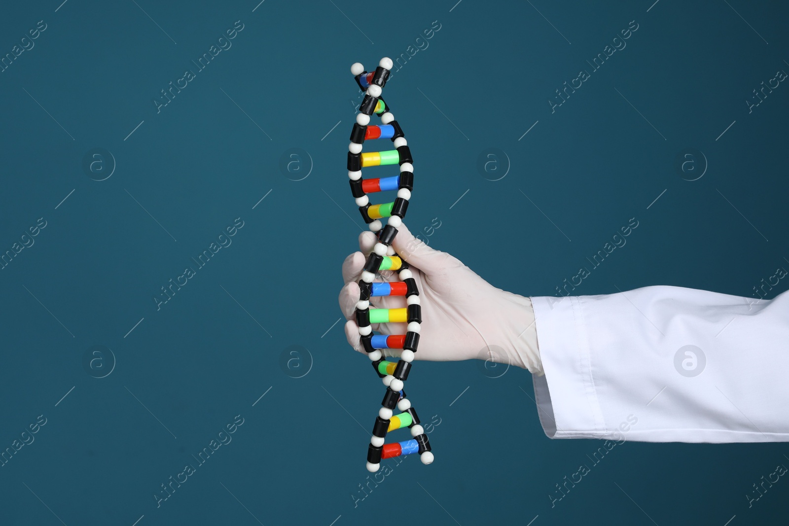 Photo of Scientist holding DNA structure model on dark blue background, closeup